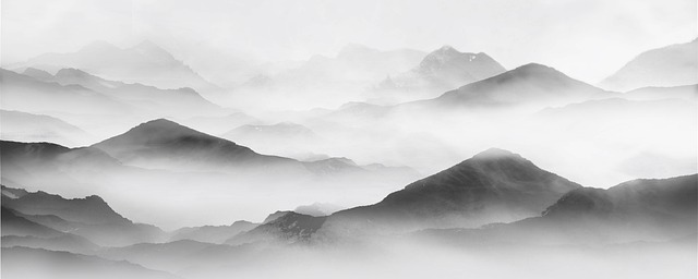 고급스러운 비즈니스